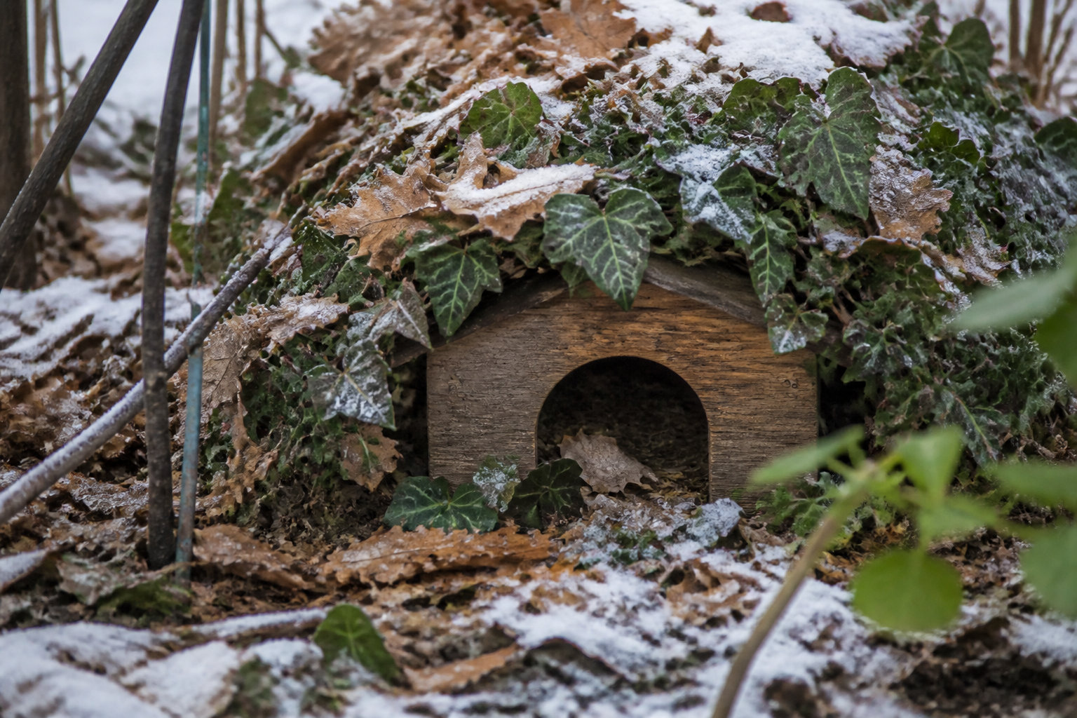 Préparation hivernale et aménagements pour un jardin accueillant
