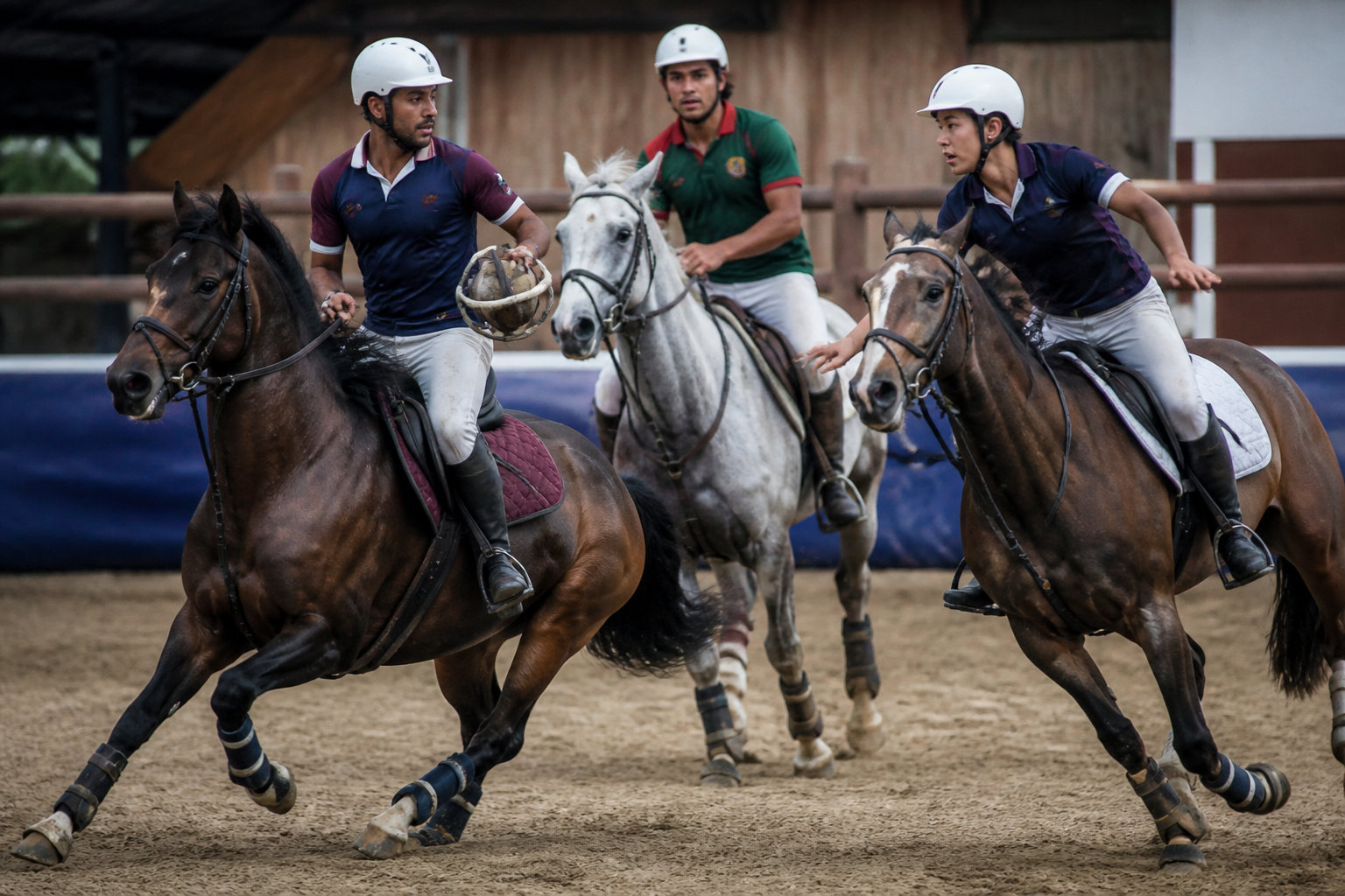 Le horse ball sport équestre : une discipline collective unique