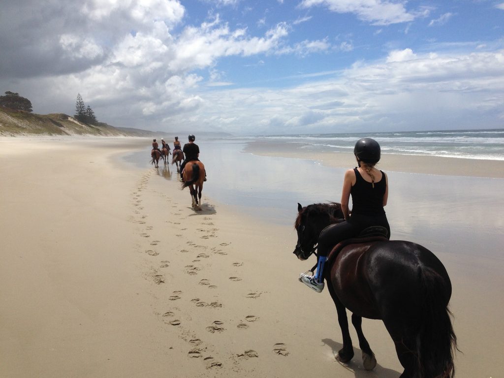 Personnes qui font une randonnée à cheval sur une plage